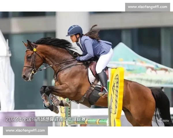 儿童马术比赛：培养未来骑士的竞技舞台与成长故事