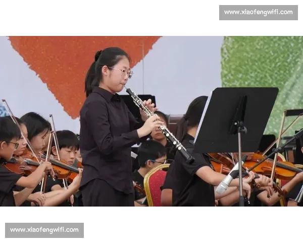 全国青年双簧管演奏大赛精彩瞬间与技巧解析 全国青年双簧管演奏大赛精彩瞬间与技巧解析