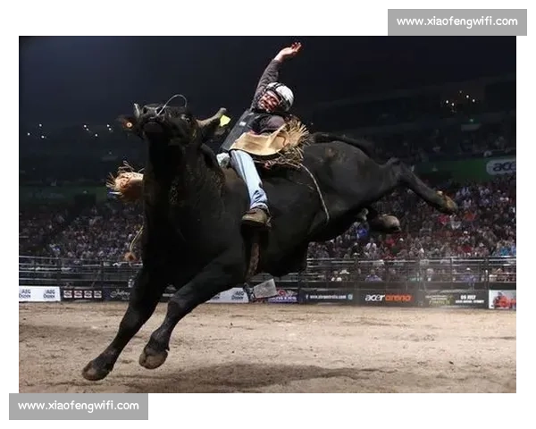 实拍美国骑牛比赛现场牛仔被疯狂甩飞全程高能看得手心冒汗三次惊险