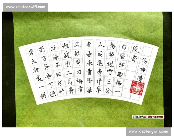 小学生硬笔书法比赛作品展示 书写之美与艺术创作的完美融合