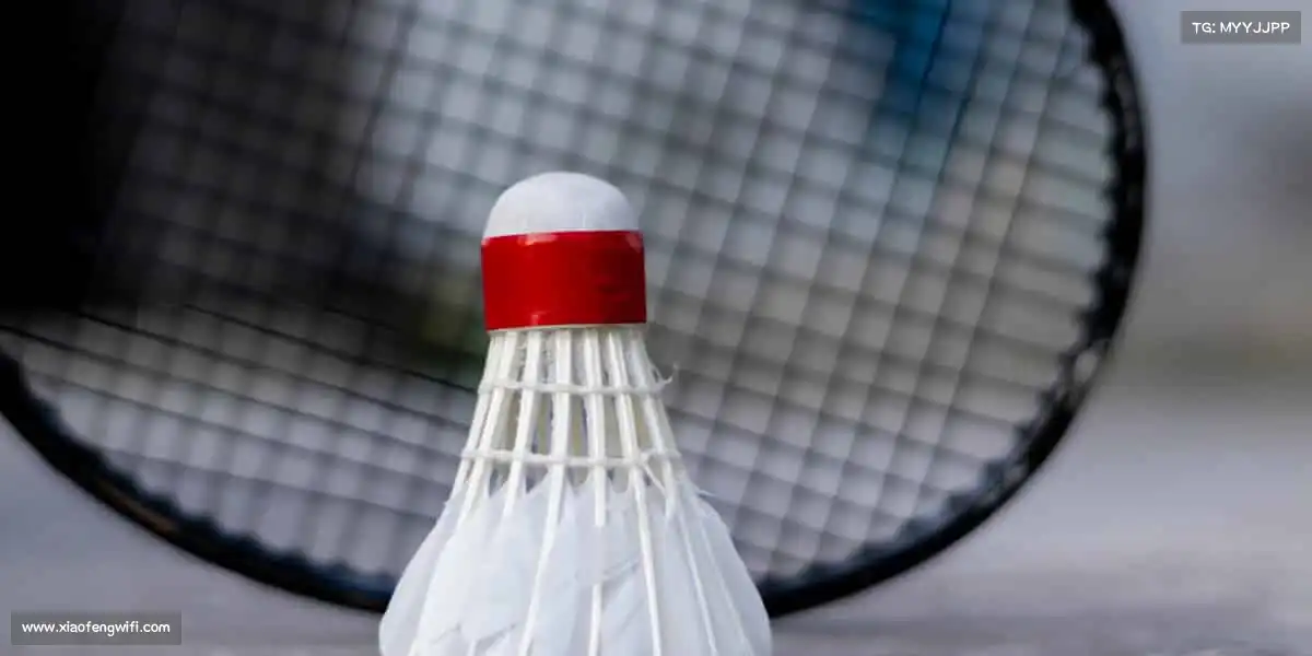 AG庄闲集团🏓小球转动大梦想，每一拍都是新的开始！